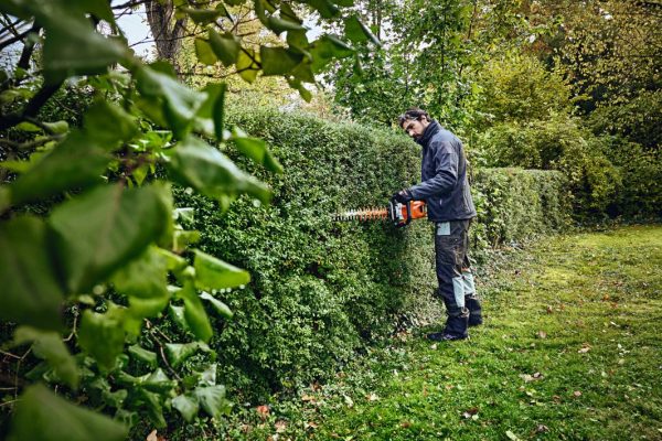 stihl_potatura-siepi-1.jpg